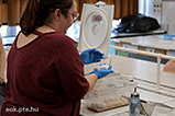 DSCF3724.jpg