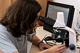 DSCF6146.jpg