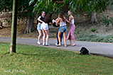 DSCF6311.jpg