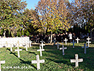 P1110494.jpg