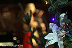 IMG_4380.jpg