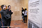 IMG_5325.jpg
