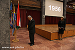 IMG_5924.jpg