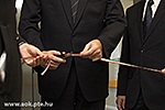IMG_7785.jpg