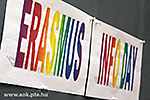 IMG_8482.jpg