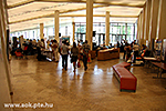 IMG_4223.jpg