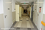 IMG_4323.jpg