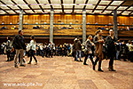 IMG_7555.jpg