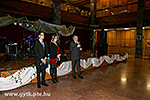 IMG_2574.jpg