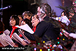 IMG_1115.jpg