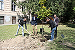 IMG_7380.jpg