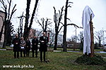 IMG_4660.jpg