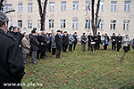 IMG_4667.jpg