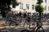 IMG_8041.jpg